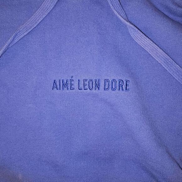 Baby Blue Aime Leon Dore Hoodie - Picture 1 of 7